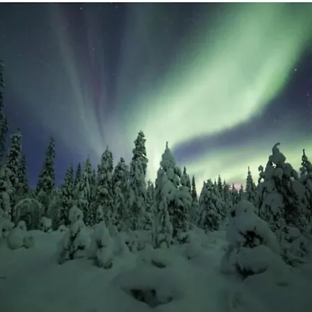 Tervas-kanto In Yllaesjaervi Villa