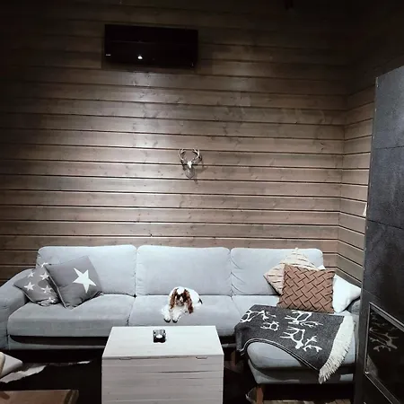 Villa Tervas-kanto In Yllaesjaervi *