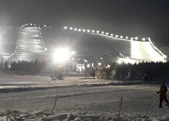 Villa Tervas-kanto In Yllaesjaervi *