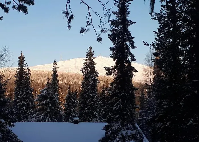 Villa Tervas-kanto In Yllaesjaervi Kolari