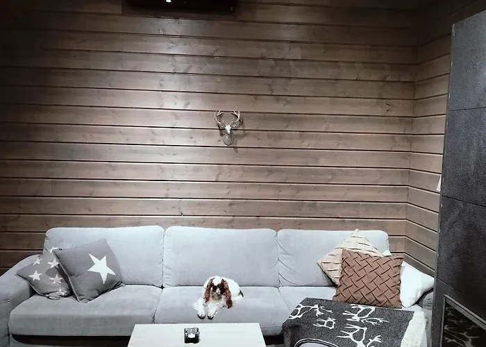 Villa Tervas-kanto In Yllaesjaervi *